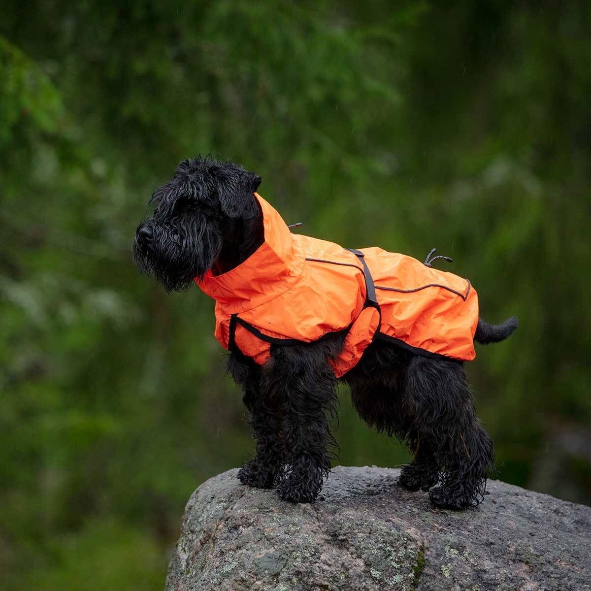 Feel Active reflekterande regnjacka för hund i orange