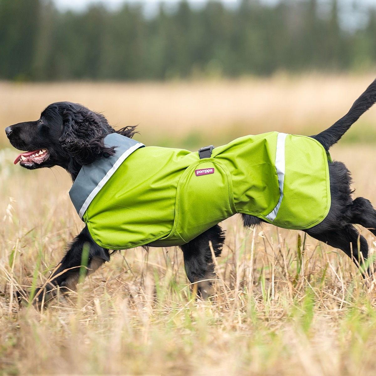 Pomppa Sade regntäcke för hund i lime, sedd framifrån