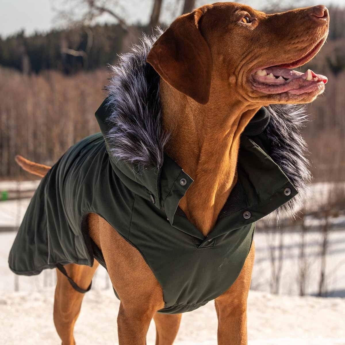 Rukka Frostbiter vintertäcke för hund i mörkgrönt