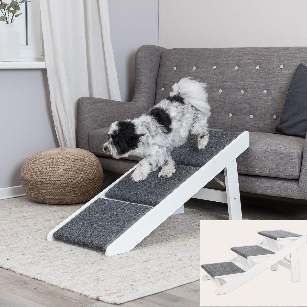 Vit hundramp med utfällbara steg som kan användas som trappa eller ramp