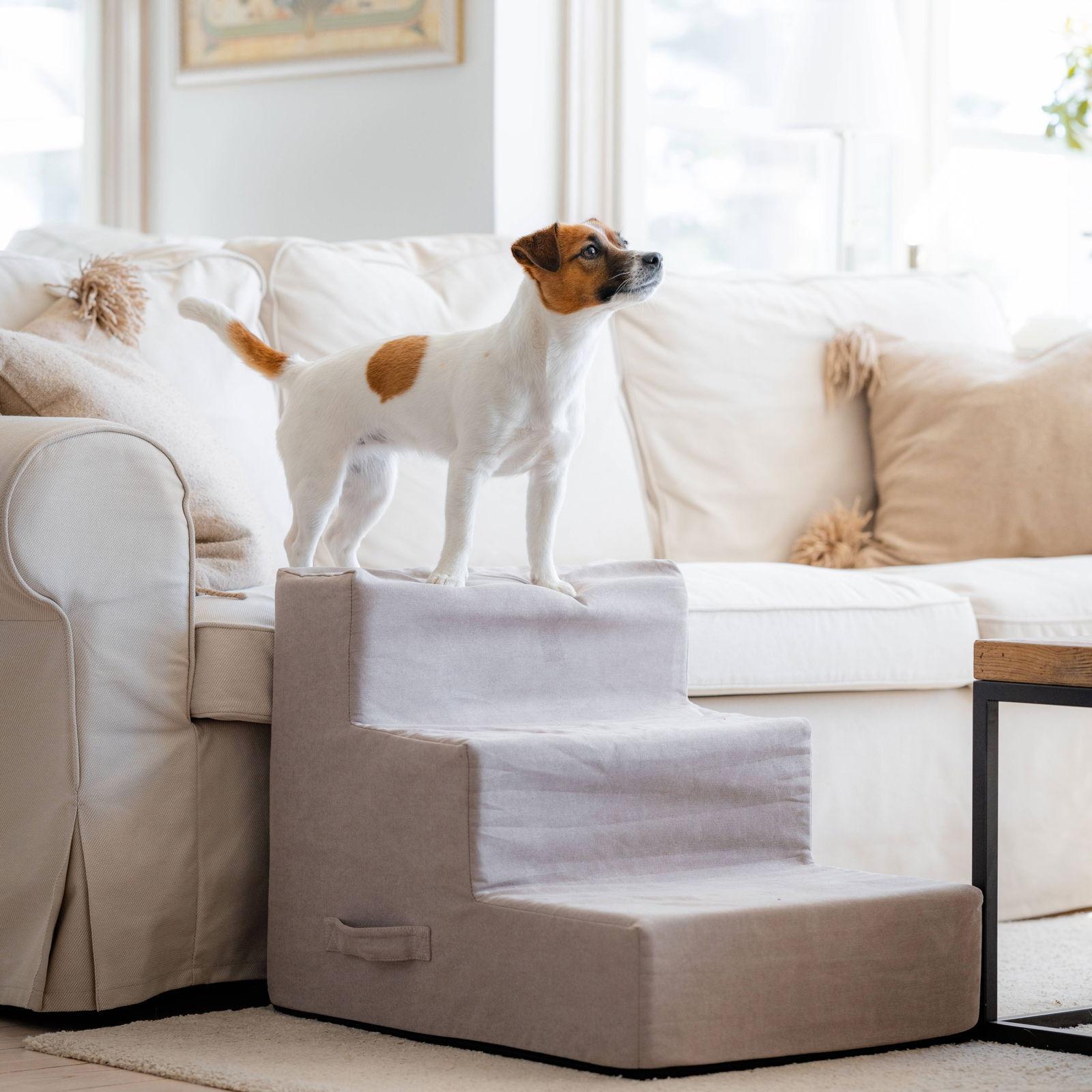 Beige skumtrappa för hund med två steg och avtagbart överdrag