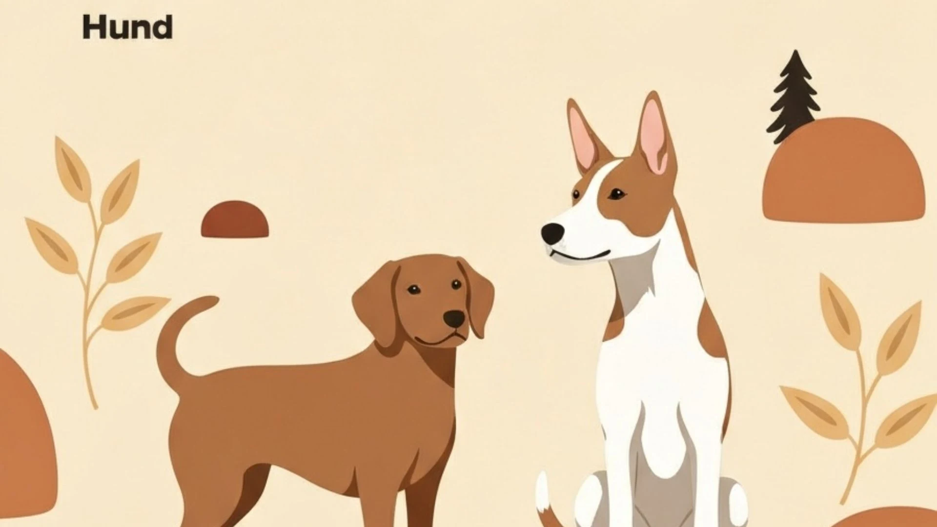 Bästa hundbur 2026: bilbur, hemmabur och flygbur