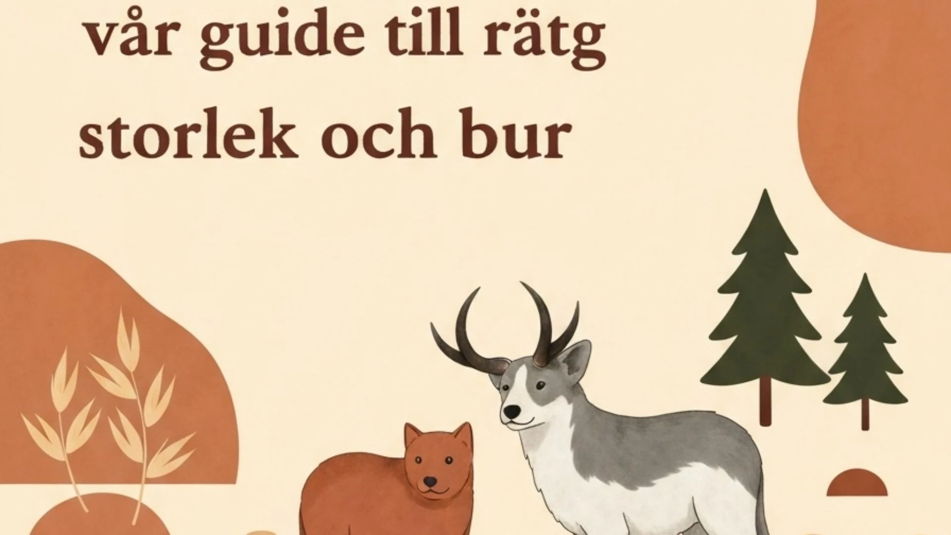 Marsvinsbur 2026 – vår guide till rätt storlek och bur